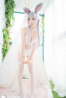美美哒电视剧免费观看完整版4_在线完整观看